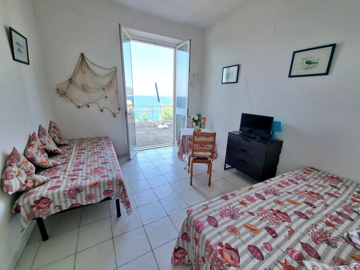 Appartamenti La Terrazza Sulle Ghiaie - Goelba بورتوفيرّايو الغرفة الصورة